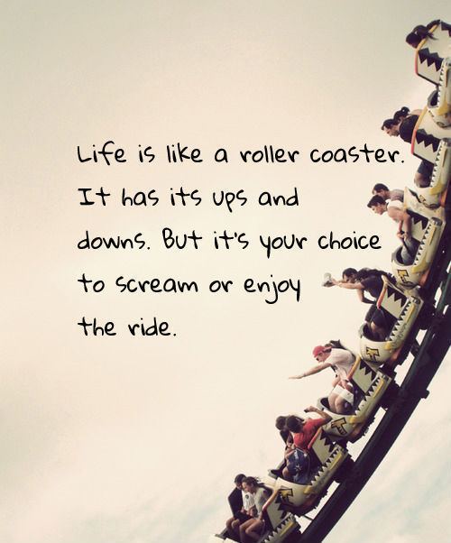 life roller coaster